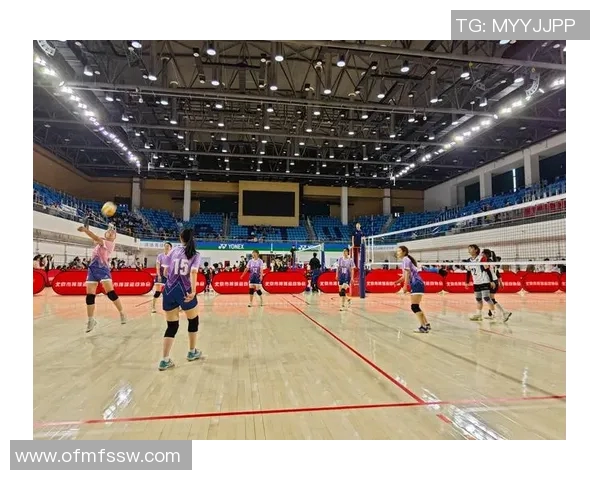 北京排球队的精神风貌与团队意识探讨：排球运动中的凝聚力与协作精神