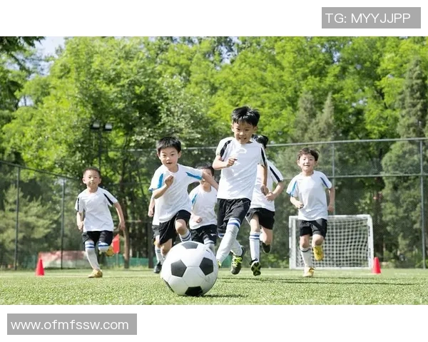 海尔默足球：探索足球文化与科技融合的新篇章